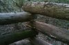 IMAG0031M.jpg