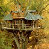 treehouse.jpg
