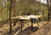 _DSC0006.JPG