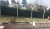 20190224_120631_small.jpg
