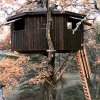 cabane bois-brûlé 1.jpg