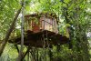 cabane_MG_9474.jpg
